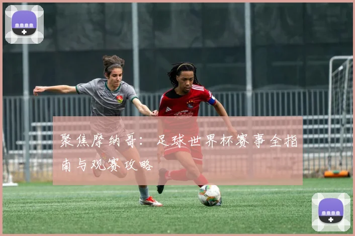 聚焦摩纳哥：足球世界杯赛事全指南与观赛攻略
