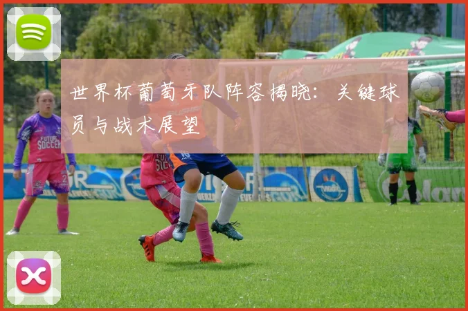 世界杯葡萄牙队阵容揭晓：关键球员与战术展望
