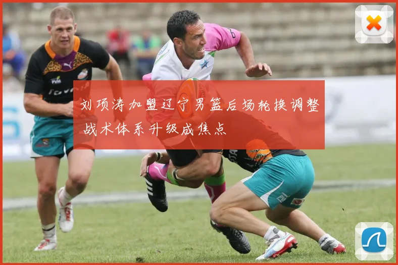 刘项涛加盟辽宁男篮后场轮换调整 战术体系升级成焦点